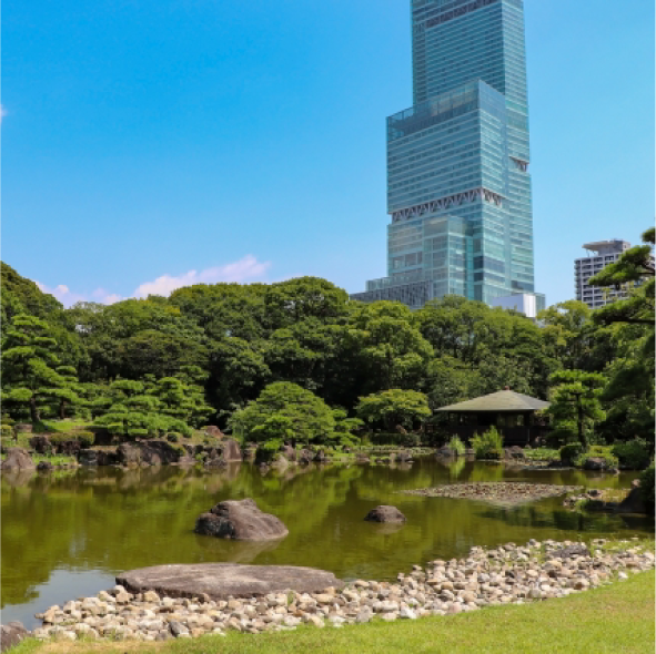 天王寺・難波エリア　あべのハルカス